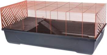 Grauzēju būris EDDY COPPER 99 x