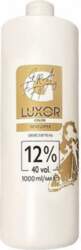LUXOR Professional LUXOR Color Developer GOLD