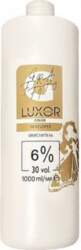 LUXOR Professional LUXOR Color Developer GOLD