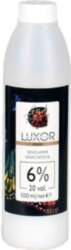 LUXOR Professional LUXOR Color Developer matu