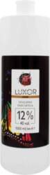 LUXOR Professional LUXOR Color Developer GRAFITO