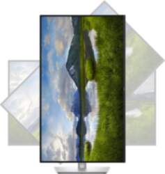 Dell P3225QE | 32 " |