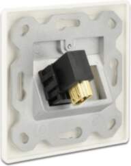 DeLOCK Keystone module - Modularer Einschub