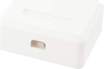 Equip 2-Port Keystone Jack Surface Mount