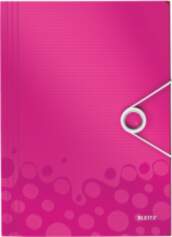 Esselte-Leitz Leitz WOW Polypropylene (PP) Pink