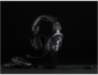 Logitech LOGITECH G PRO X Gaming