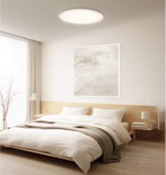 Xiaomi Smart Ceiling Light D40 |