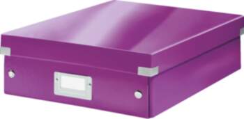 Esselte-Leitz Leitz 60580062 file storage box