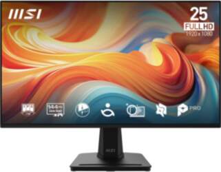 MSI Pro MP251 E14L computer monitor