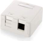 Equip 2-Port Keystone Jack Surface Mount