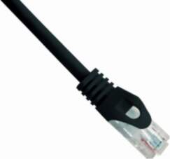 Gembird | Patch cord | FTP