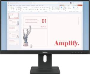 Lenovo ThinkVision E24-40 Monitor