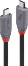 Lindy 2m USB 4 240W Type
