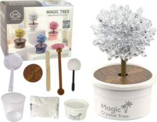 Magic Tree Crystal Growing Silver Experiences