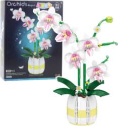 Orchid Construction Blocks Orchid in a