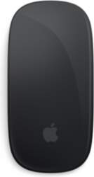 Apple Magic Mouse - Black Multi-Touch