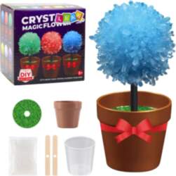 Crystal Growing Magic Crystal Tree Educational