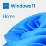 Microsoft Windows 11 Home 64Bit DSP
