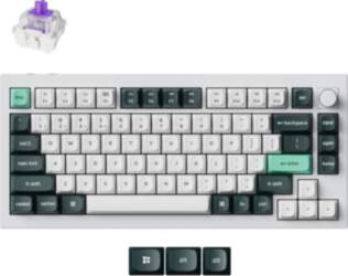 Keychron Q1 HE keyboard Universal USB