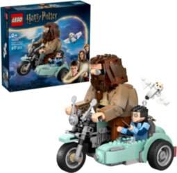 LEGO HARRY POTTER 76443