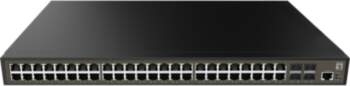 No name LevelOne GEL-5271 network switch