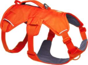 No name Ruffwear Web Master M