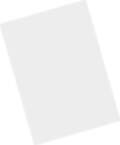 Zebra - Bildschirmschutz (Packung mit 5)