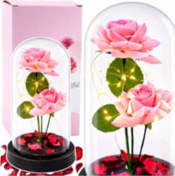 Eternal Roses in Dome with LED