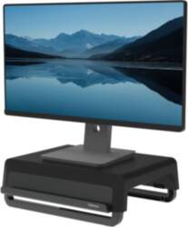 Fellowes Computer Monitor Stand with 3