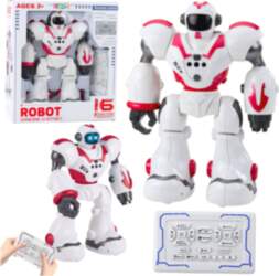 Interactive Remote Controlled RC Robot 16