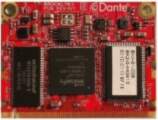 No name Internal Dante Module for