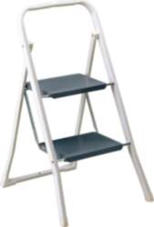 RAYEN 2-Step Ladder