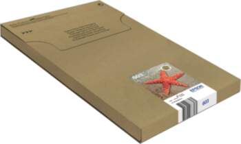 Epson Multipack 4-colours 603 EasyMail