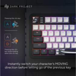 No name Moonstone Switch