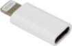 Sbox AD.IPH-TYPEC/R Adapter IPH/8 M