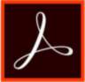 ADOBE ESD Acrobat Pro MLP 12M