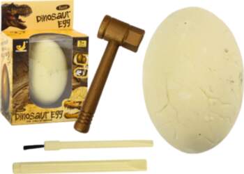 Archaeologist Set Dinosaur Egg Excavation Fossil