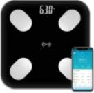 CP Body scale B2017 black with