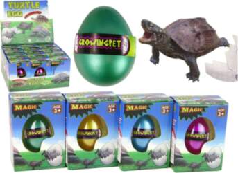 Hatching Magic Turtle Egg Growing 6