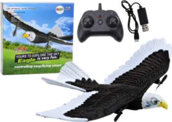 Eagle Bird Remote Controlled RC Plane