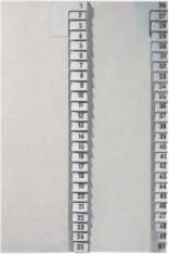 Esselte-Leitz Leitz 13810085 tab index Numeric