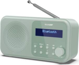 Sharp DR-P420 Portable Digital Green