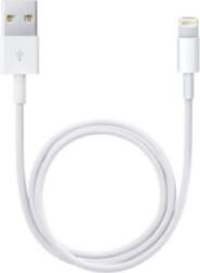 Apple Lightning to USB Cable 1m