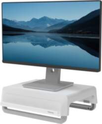 Fellowes Computer Monitor Stand with 3