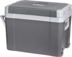 TEESA Travel Refrigerator with Heating Function