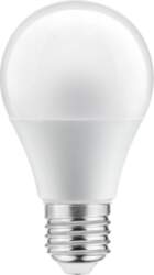LED Spuldze E27, A60, 10 W