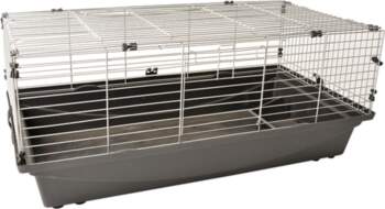 Duvo Plus (BE) Duvo Plus Rabbit