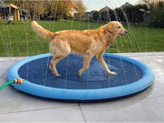 Duvo Plus (BE) Duvo Plus Splash