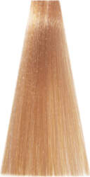 PERMESSE     10.4 Lightest Copper Blonde