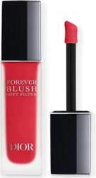 Dior Forever Blush Soft Filter 01
